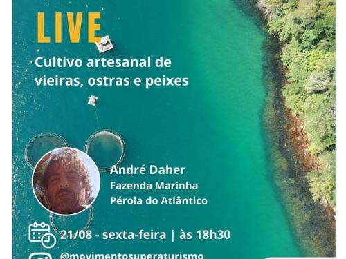 Live: Cultivo artesanal de vieiras, ostras e peixes - Movimento Supera Turismo