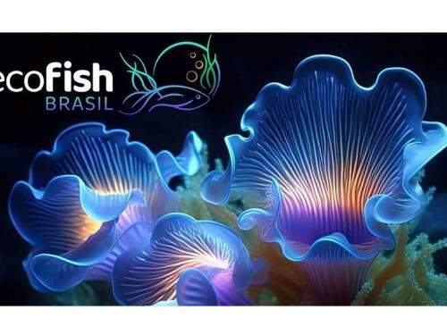 Eco Fish Brasil 2023