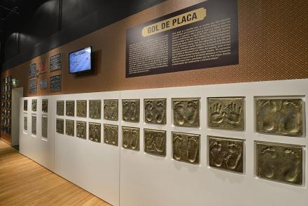 Foto: Agência I7/Minas Arena