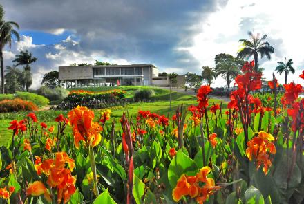 Em seu acervo de mais de 900 obras, estão quadros de Cândido Portinari, Alberto da Veiga Guignard, Di Cavalcanti, Amilcar de Castro e Tomie Ohtake. Além de pinturas, compõem o acervo fotografias, objetos tridimensionais, gravuras, desenhos, material audiovisual e documentos. Foto: Acervo PBH