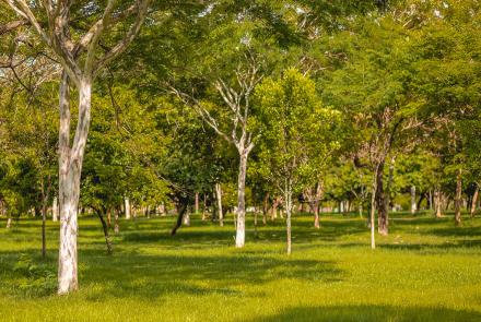 Foto: Qu4rto Studio / Acervo Belotur