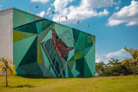 Foto: Qu4rto Studio / Acervo Belotur