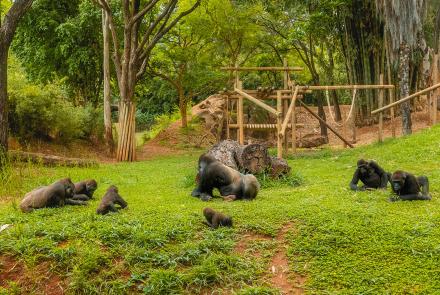 Foto: Qu4rto Studio/Acervo Belotur