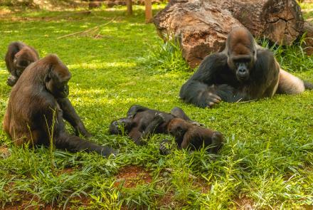 Foto: Qu4rto Studio/Acervo Belotur