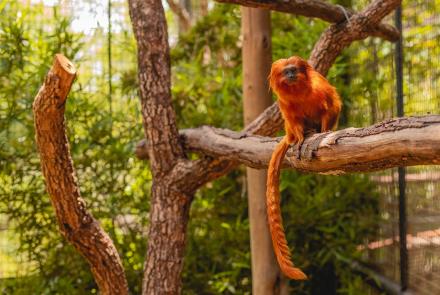 Foto: Qu4rto Studio/Acervo Belotur