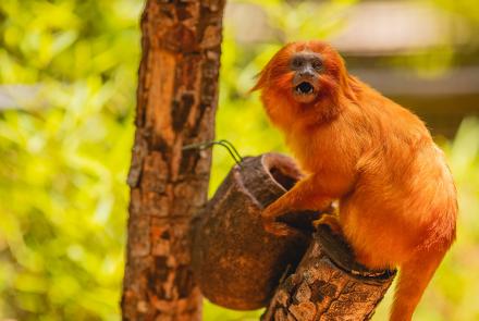 Foto: Qu4rto Studio/Acervo Belotur