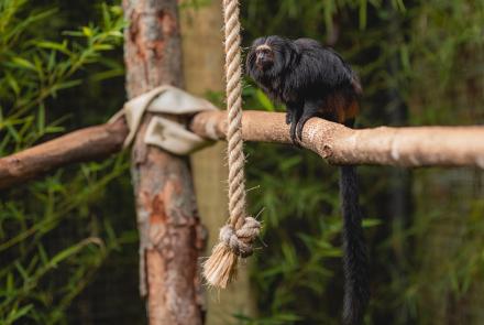 Foto: Qu4rto Studio/Acervo Belotur