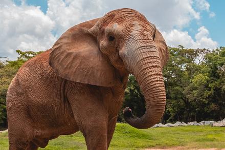 Foto: Qu4rto Studio/Acervo Belotur