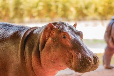 Foto: Qu4rto Studio/Acervo Belotur