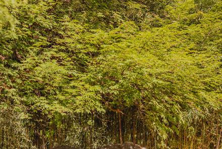 Foto: Qu4rto Studio/Acervo Belotur