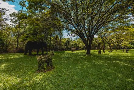 Foto: Qu4rto Studio/Acervo Belotur