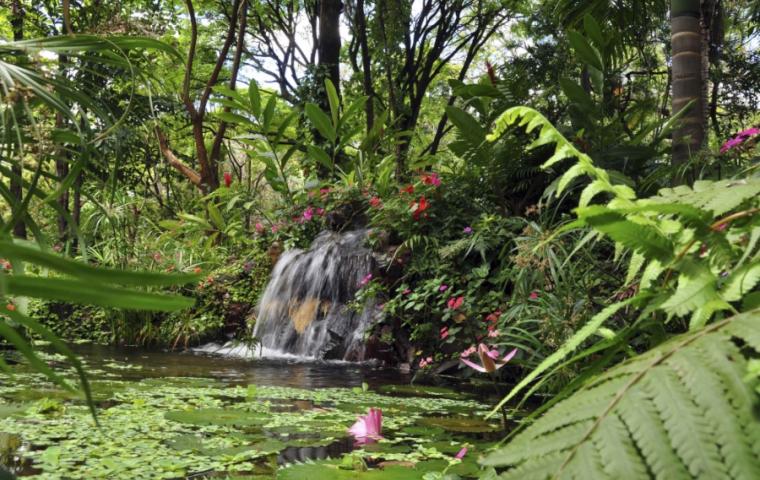 Foto: Arquivo PBH Queda d'água Parque Municipal